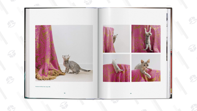 “Long before the Internet and #catsofinstagram, Chandoha was enrapturing the public with his fuzzy subjects. From advertisements to greetings cards, jigsaw puzzles to pet-food packaging, his images combined a genuine affection for the creatures, a strong work ethic, and flawless technique.”